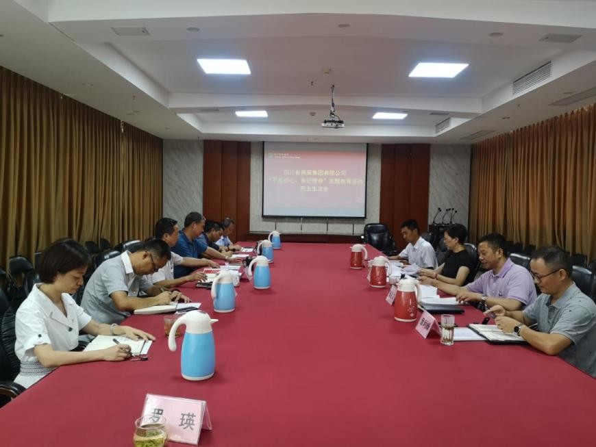 集團(tuán)公司召開“不忘初心、牢記使命”主題教育活動民主生活會
