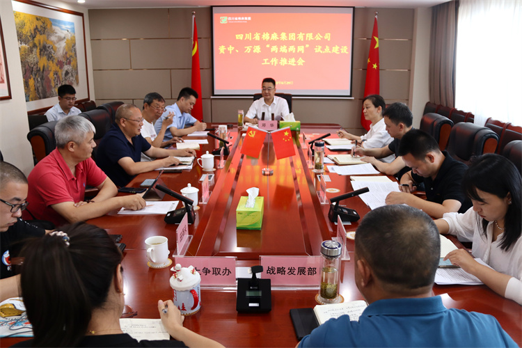 鄧華主持召開資中、萬源“兩端兩網(wǎng)”試點建設(shè)工作推進(jìn)會