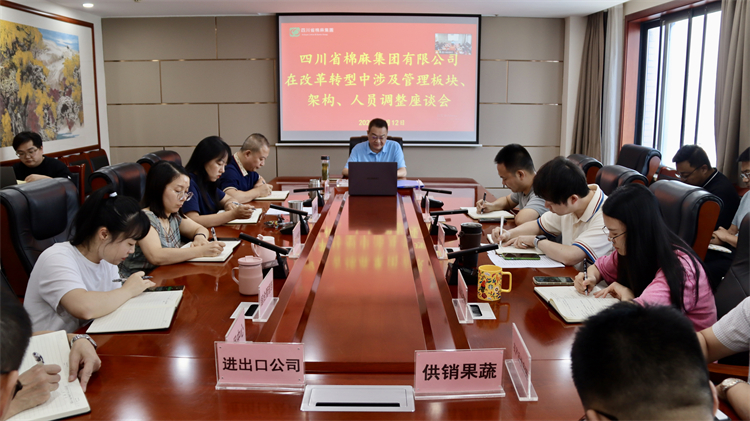 集團公司召開在改革轉(zhuǎn)型中涉及管理板塊、架構(gòu)、人員調(diào)整座談會