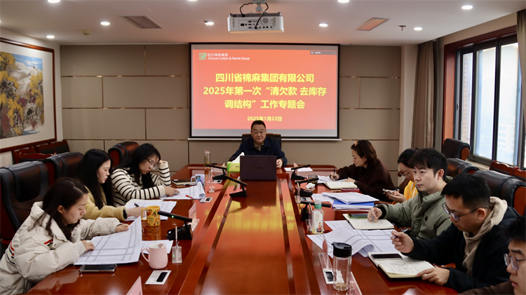 集團(tuán)公司召開2025年第一次“清欠款、去庫存、調(diào)結(jié)構(gòu)”工作專題會(huì)